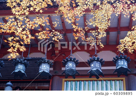 奈良 桜井 談山神社 奈良 桜井 談山神社 60309895