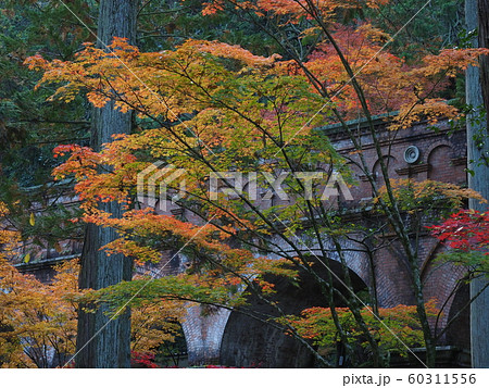 南禅寺　水路閣の紅葉 60311556