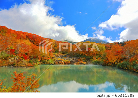 【青森県】紅葉の地獄沼 【青森県】紅葉の地獄沼 60311588