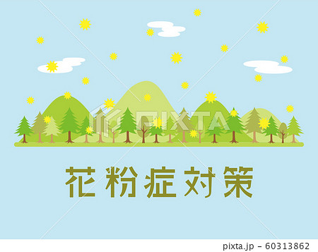 花粉症対策 杉林の背景素材 花粉症対策 杉林の背景素材 60313862