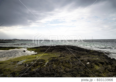 背景 自然 済州島 60313966