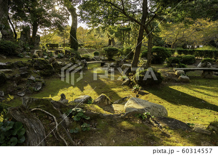 萩城跡指月公園 萩城 茶室庭園 山口県萩市 萩城跡指月公園 萩城 茶室庭園 山口県萩市 60314557