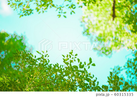 見上げた空 見上げた空 60315335