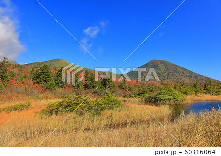 【青森県】紅葉の水蓮沼と八甲田連峰 60316064
