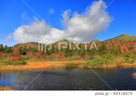 【青森県】紅葉の水蓮沼と八甲田連峰 【青森県】紅葉の水蓮沼と八甲田連峰 60316070