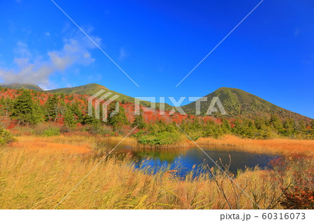 【青森県】紅葉の水蓮沼と八甲田連峰 60316073