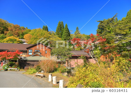【青森県】紅葉の蔦温泉 60316431