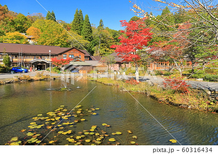 【青森県】紅葉の蔦温泉 60316434