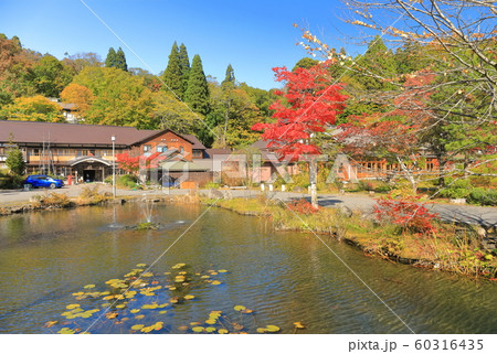 【青森県】紅葉の蔦温泉 【青森県】紅葉の蔦温泉 60316435
