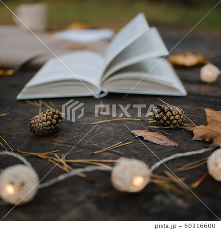 On an old wooden table in an autumn park lies an 60316600