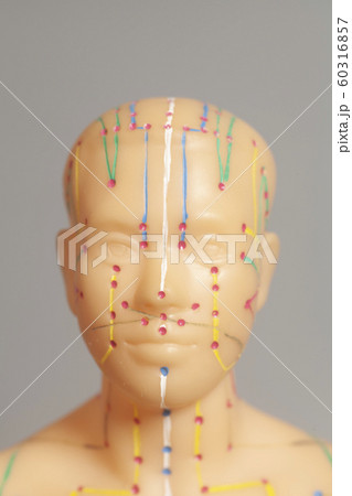 Medical acupuncture model of human Medical acupuncture model of human 60316857