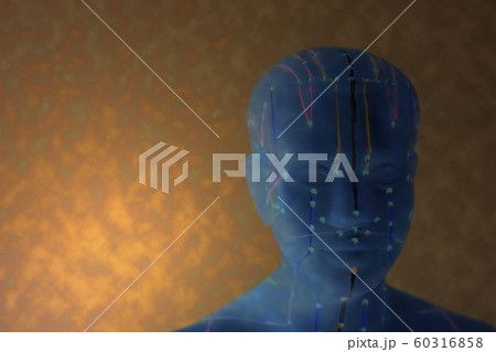Medical acupuncture model of human Medical acupuncture model of human 60316858