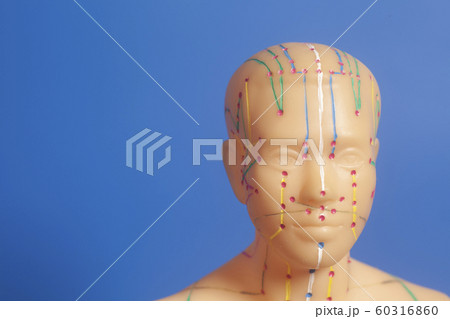 Medical acupuncture model of human Medical acupuncture model of human 60316860