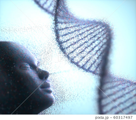 DNA Genetic Molecular Structure DNA Genetic Molecular Structure 60317497
