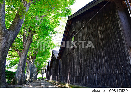 山居倉庫(山形県) 山居倉庫(山形県) 60317629