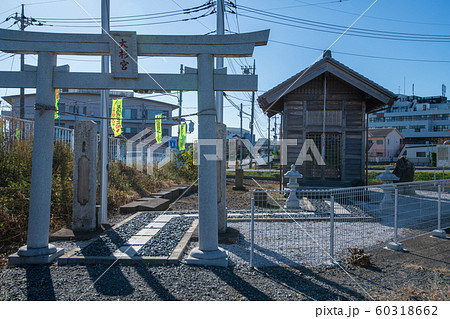 大杉神社　埼玉県ふじみ野市 60318662