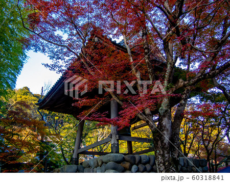 【静岡県伊豆】修禅寺境内の鐘楼とモミジ【秋】 【静岡県伊豆】修禅寺境内の鐘楼とモミジ【秋】 60318841