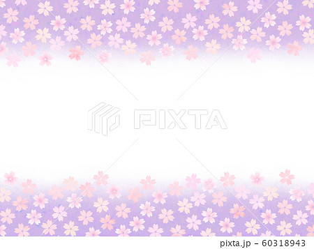 ピンクの桜柄フレーム 高貴な紫のグラデーション背景のイラスト素材 60318943 Pixta