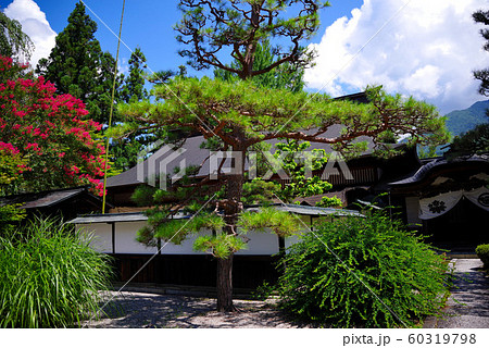 定勝寺庭園 定勝寺庭園 60319798