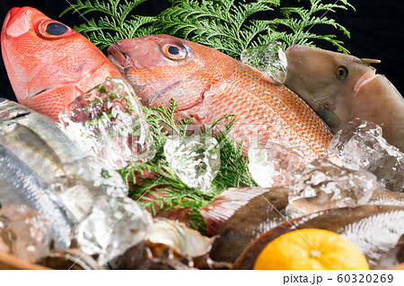 鮮魚盛り合わせ 60320269