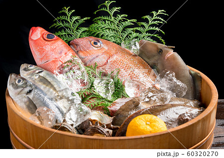 鮮魚盛り合わせ 60320270