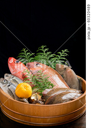 鮮魚盛り合わせ 鮮魚盛り合わせ 60320489