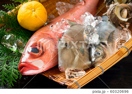 鮮魚盛り合わせ 60320696