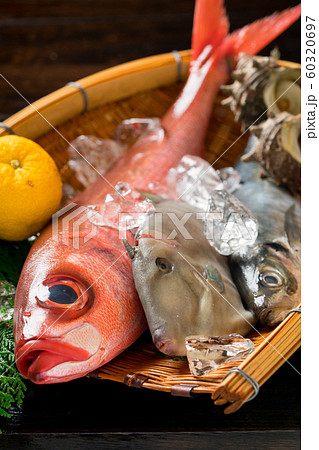鮮魚盛り合わせ 鮮魚盛り合わせ 60320697