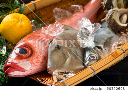 鮮魚盛り合わせ 鮮魚盛り合わせ 60320698