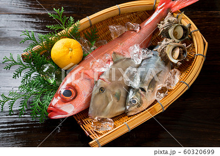 鮮魚盛り合わせ 鮮魚盛り合わせ 60320699