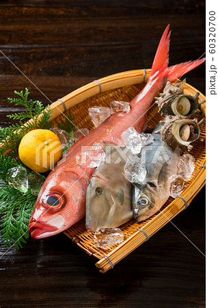 鮮魚盛り合わせ 鮮魚盛り合わせ 60320700