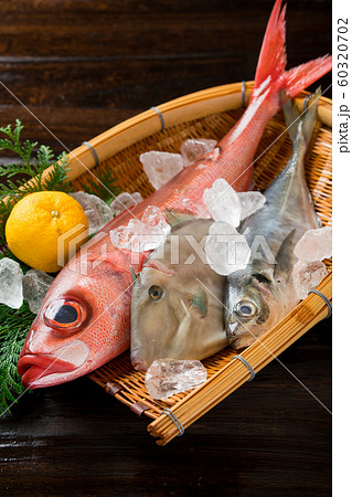 鮮魚盛り合わせ 60320702