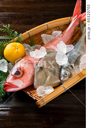 鮮魚盛り合わせ 鮮魚盛り合わせ 60320705