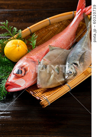 鮮魚盛り合わせ 鮮魚盛り合わせ 60320739