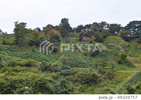 新潟県/ 春日山城跡 本丸遠景（春日山城阯） 60320757