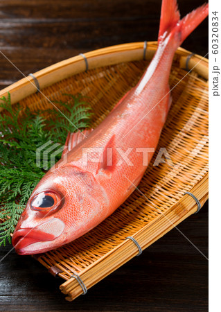 はちびきの写真素材 6034