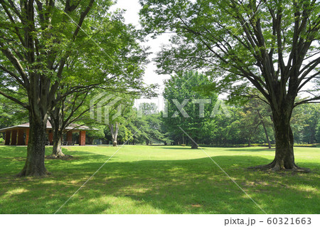 東京都調布市　小金井市　三鷹市　野川公園 60321663