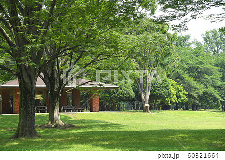 東京都調布市　小金井市　三鷹市　野川公園 60321664
