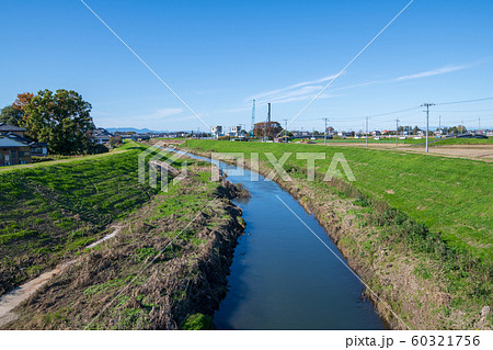 新河岸川　福岡橋　大杉神社付近景色　埼玉県ふじみ野市 60321756