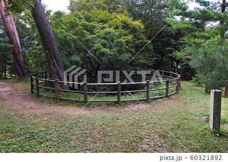 新潟県/ 春日山城跡 井戸丸阯(春日山城阯) 新潟県/ 春日山城跡 井戸丸阯(春日山城阯) 60321892