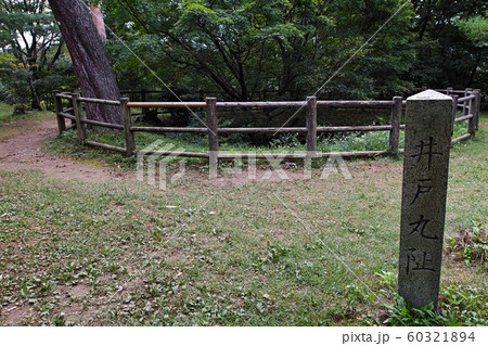 新潟県/ 春日山城跡 井戸丸阯(春日山城阯) 新潟県/ 春日山城跡 井戸丸阯(春日山城阯) 60321894