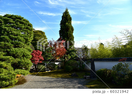 妙心寺大心院 妙心寺大心院 60321942