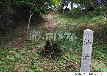 新潟県/ 春日山城跡 油流(春日山城阯) 新潟県/ 春日山城跡 油流(春日山城阯) 60321979