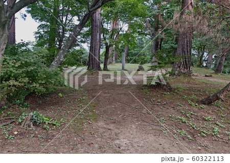 新潟県/ 春日山城跡 直江山城守宅阯(春日山城阯) 新潟県/ 春日山城跡 直江山城守宅阯(春日山城阯) 60322113