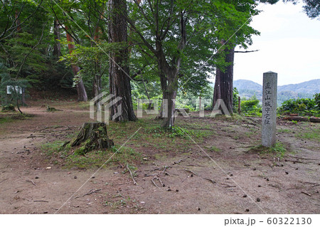 新潟県/ 春日山城跡 直江山城守宅阯（春日山城阯） 60322130