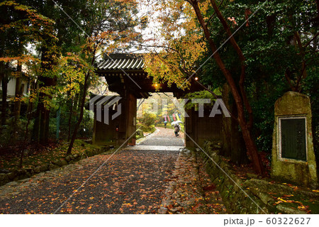 赤山禅院の紅葉 60322627