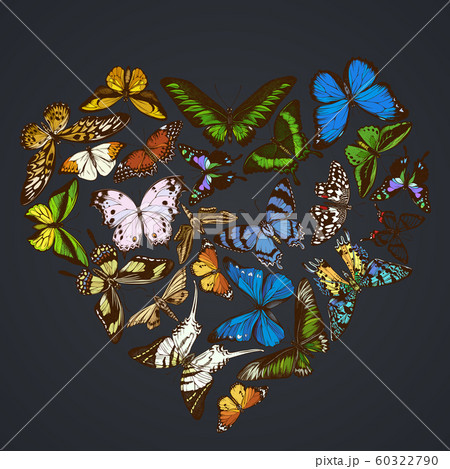 Heart design on dark background with morpho menelaus, graphium androcles, morpho rhetenor cacica, papilio demoleus, cethosia biblis, papilio antimachus, alcides agathyrsus, ornithoptera priamus 60322790