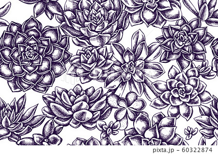 Artistic seamless pattern with succulent echeveria, succulent echeveria, succulent Artistic seamless pattern with succulent echeveria, succulent echeveria, succulent 60322874