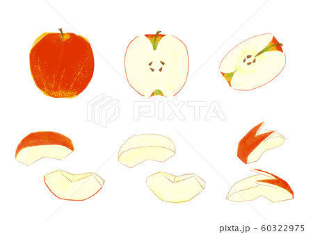 りんご 丸ごと 半分 ４分の1 くし形 うさぎ形 のイラスト素材