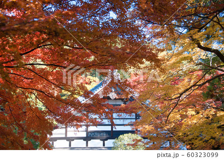 南禅寺 2019秋 南禅寺 2019秋 60323099
